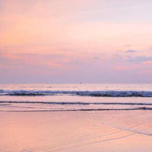 Meet your Posher, Addi